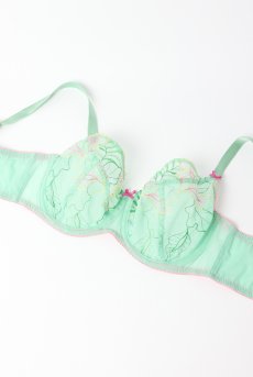 画像9: MILAGROS green B161 | フルカップブラ・パッドなし・ワイヤーブラ・一枚レース・大きいサイズ・グリーン | ewabien エヴァビアン【サイズ交換OK・メール便対象】 輸入下着・高級ランジェリー  (9)