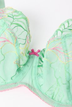 画像11: MILAGROS green B161 | フルカップブラ・パッドなし・ワイヤーブラ・一枚レース・大きいサイズ・グリーン | ewabien エヴァビアン【サイズ交換OK・メール便対象】 輸入下着・高級ランジェリー  (11)