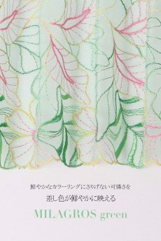 画像16: MILAGROS green B214 | 3/4カップ・ワイヤーブラ・グラマー向け・グリーン| ewabien エヴァビアン【サイズ交換OK】 輸入下着・高級ランジェリー  (16)