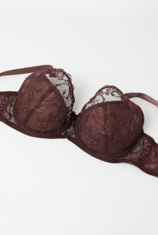 画像7: KIRA chocolate B150 | フルカップブラ・透けないタイプ・セミソフト・大きいサイズ・ベージュ| ewabien エヴァビアン【サイズ交換OK】 輸入下着・高級ランジェリー  (7)