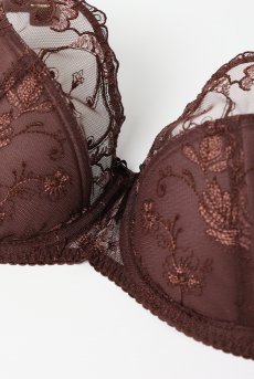 画像9: KIRA chocolate B150 | フルカップブラ・透けないタイプ・セミソフト・大きいサイズ・ベージュ| ewabien エヴァビアン【サイズ交換OK】 輸入下着・高級ランジェリー  (9)