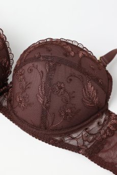 画像8: KIRAchocolate B214 | 3/4カップ・ワイヤーブラ・グラマー向け・ブラウン| ewabien エヴァビアン【サイズ交換OK】 輸入下着・高級ランジェリー  (8)