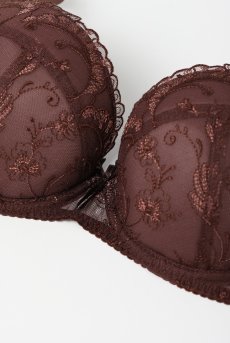 画像9: KIRAchocolate B214 | 3/4カップ・ワイヤーブラ・グラマー向け・ブラウン| ewabien エヴァビアン【サイズ交換OK】 輸入下着・高級ランジェリー  (9)
