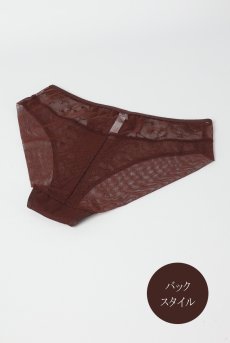 画像8: KIRAchocolate C110 | ノーマルショーツ・ブラウン  | ewabien エヴァビアン【サイズ交換NG・メール便対象】輸入下着・高級ランジェリー  (8)