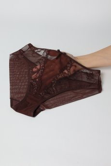 画像12: KIRAchocolate C110 | ノーマルショーツ・ブラウン  | ewabien エヴァビアン【サイズ交換NG・メール便対象】輸入下着・高級ランジェリー  (12)