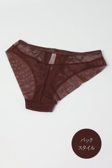 画像8: KIRAchocolate C511｜ブラジリアンショーツ・ブラウン | ewabien エヴァビアン【サイズ交換NG・メール便対象】輸入下着・高級ランジェリー  (8)