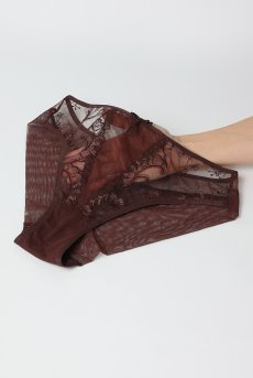 画像12: KIRAchocolate C511｜ブラジリアンショーツ・ブラウン | ewabien エヴァビアン【サイズ交換NG・メール便対象】輸入下着・高級ランジェリー  (12)