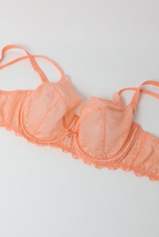 画像8: MARIBEL peach B161 | フルカップブラ・パッドなし・ワイヤーブラ・一枚レース・大きいサイズ・ピンク | ewabien エヴァビアン【サイズ交換OK・メール便対象】 輸入下着・高級ランジェリー  (8)