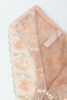 画像12: TRINI beige C511｜ブラジリアンショーツ・ベージュ | ewabien エヴァビアン【サイズ交換NG・メール便対象】輸入下着・高級ランジェリー  (12)