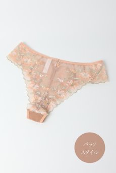 画像9: TRINI beige C322 |ブラジリアンタンガ・ベージュ  | ewabien エヴァビアン【サイズ交換NG・メール便対象】輸入下着・高級ランジェリー  (9)