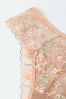 画像10: TRINI beige C322 |ブラジリアンタンガ・ベージュ  | ewabien エヴァビアン【サイズ交換NG・メール便対象】輸入下着・高級ランジェリー  (10)