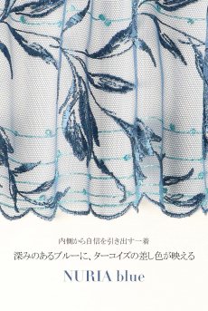 画像15: NURIA blue C110 | ノーマルショーツ・ブルー  | ewabien エヴァビアン【サイズ交換NG・メール便対象】輸入下着・高級ランジェリー  (15)