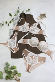 画像15: LAILA beige C125 | ハイウエストショーツ・シースルー・ベージュ  | ewabien エヴァビアン【サイズ交換NG・メール便対象】輸入下着・高級ランジェリー  (15)