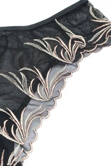 画像12: PALMER black C322 |ブラジリアンタンガ・ブラック  | ewabien エヴァビアン【サイズ交換NG・メール便対象】輸入下着・高級ランジェリー  (12)