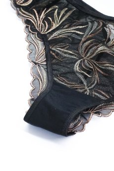 画像13: PALMER black C322 |ブラジリアンタンガ・ブラック  | ewabien エヴァビアン【サイズ交換NG・メール便対象】輸入下着・高級ランジェリー  (13)