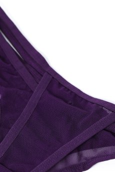 画像11: Violet-panties |ブラジリアンショーツ(シースルー・バイオレット) | Exquisite 高級ランジェリー【即日発送・サイズ交換NG・メール便対象】輸入下着・ランジェリー   (11)