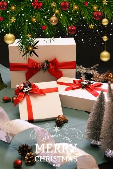 画像1: クリスマス限定ラッピング｜ホワイト・オリジナルBOX｜クリスマスプレゼントに｜ランジェリーのギフト・プレゼント (1)