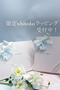 画像15: 【サンプル特別価格】Lemon Ice Corset｜コルセット・シースルー｜ギフトBOX入り｜ボタニカル刺繍・未発表モデル・サンプル・見本品｜LA MUSA ラミューザ【即日発送・サイズ交換NG・クーポン適用対象外】輸入下着・ 高級ランジェリー   (15)