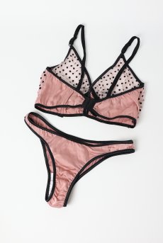 画像5: 【サンプル特別価格】Maria Antoaneta 2-pcs-set|ワイヤー入りブラジャー&ショーツセット・シースルー|ギフトBOX入り|ドット柄・未発表モデル・サンプル・見本品|LA MUSA ラミューザ【即日発送・サイズ交換NG】輸入下着・ 高級ランジェリー   (5)