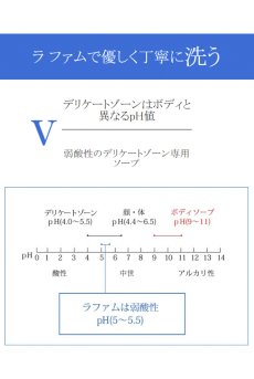 画像9: ギフトBOX入り｜トラベル ケアセット｜3点入り｜ラファム トラベルセット(洗浄ウォッシュ・美白保湿クリーム・泡たてネット・ポーチ) & アミー5枚入り 白【即日発送】 （再入荷なし） (9)