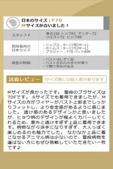 画像17: 【先行予約】10％OFF｜M516-SET｜レオパード柄のブラ＆Tバックショーツセット（ワイヤー入り）｜Muse Line｜インポートランジェリー輸入下着・ランジェリー (17)
