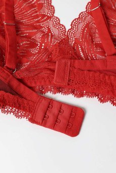 画像14: Chilisa 3-pcs set｜ブラ＆ガーターベルト＆タンガ3点セット（ワイヤーなし・レース・シースルー・レッド） | Obsessive 高級Sexyランジェリー【即日発送・サイズ交換NG・メール便対象】輸入下着・ランジェリー   (14)