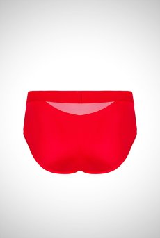 画像5: Boldero briefs red | ブリーフショーツ・レッド・メンズ  | 特製オールドブック型ケース付き 高級メンズ・ボクサー＆ブリーフ【即日発送・サイズ交換NG】メンズ下着   (5)