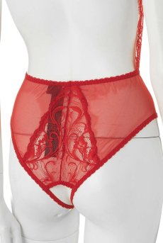 画像16: Dagmarie teddy red | テディ・レース・レッド   | 高級Sexyランジェリー Obsessive【即日発送・サイズ交換NG】輸入下着・ランジェリー   (16)