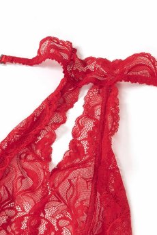 画像19: Dagmarie teddy red | テディ・レース・レッド   | 高級Sexyランジェリー Obsessive【即日発送・サイズ交換NG】輸入下着・ランジェリー   (19)