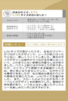 画像16: Anniverse S 4-pcs set｜ブラ＆タンガ＆ガータベルト＆レッグストラップ4点セット（ワイヤーあり・シースルー・ブラック） | Obsessive 高級Sexyランジェリー【即日発送・サイズ交換NG】輸入下着・ランジェリー   (16)