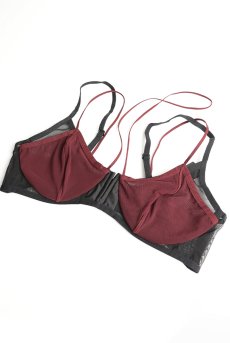 画像12: Parisel 3-pcs set｜ブラ＆タンガ＆ガータベルト3点セット（ワイヤーあり・シースルー・黒×赤） | Obsessive 高級Sexyランジェリー【即日発送・サイズ交換NG・メール便対象】輸入下着・ランジェリー   (12)