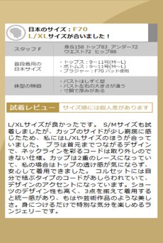 画像26: Parisel 3-pcs set｜ブラ＆タンガ＆ガータベルト3点セット（ワイヤーあり・シースルー・黒×赤） | Obsessive 高級Sexyランジェリー【即日発送・サイズ交換NG・メール便対象】輸入下着・ランジェリー   (26)