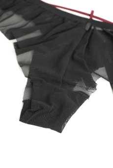 画像10: Parisel panties |ノーマルショーツ(シースルー・フリル・黒) | Obsessive 高級Sexyランジェリー【即日発送・サイズ交換NG・メール便対象】輸入下着・ランジェリー   (10)
