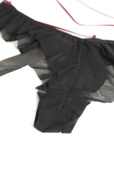 画像11: Parisel panties |ノーマルショーツ(シースルー・フリル・黒) | Obsessive 高級Sexyランジェリー【即日発送・サイズ交換NG・メール便対象】輸入下着・ランジェリー   (11)