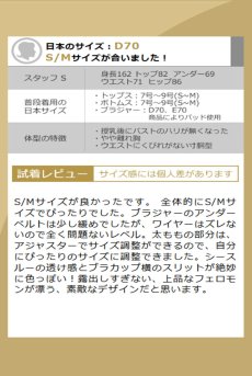 画像31: Nuites chemise  |スリップドレス（ワイヤーあり・ドット・シースルー・ブラック） | Obsessive 高級Sexyランジェリー【即日発送・サイズ交換NG・メール便対象】輸入下着・ランジェリー   (31)