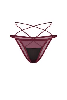 画像3: Parisel mini panties |ブラジリアンショーツ(シースルー・赤) | Obsessive 高級Sexyランジェリー【即日発送・サイズ交換NG・メール便対象】輸入下着・ランジェリー   (3)