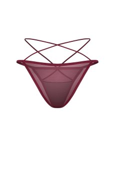 画像4: Parisel mini panties |ブラジリアンショーツ(シースルー・赤) | Obsessive 高級Sexyランジェリー【即日発送・サイズ交換NG・メール便対象】輸入下着・ランジェリー   (4)