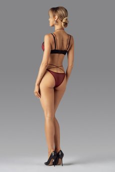 画像7: Parisel mini panties |ブラジリアンショーツ(シースルー・赤) | Obsessive 高級Sexyランジェリー【即日発送・サイズ交換NG・メール便対象】輸入下着・ランジェリー   (7)