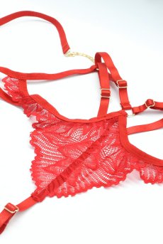 画像14: 【先行予約】5％OFF｜Matildea crotchless teddy | トップレステディ（ワイヤーあり・シースルー・オープンクロッチ・レッド）  | Obsessive 高級Sexyランジェリー【サイズ交換NG・メール便対象】輸入下着・ランジェリー    (14)