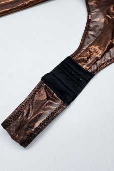 画像18: 先行予約 5％OFF｜Soranna long-sleeved teddy | テディ・ボディスーツ（ワイヤーなし・シースルー・ゴールド）  | Obsessive 高級Sexyランジェリー【サイズ交換NG・メール便対象】輸入下着・ランジェリー    (18)