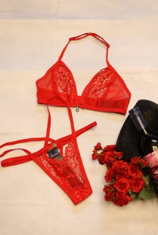 画像23: 838 SET 3  red | ホルターネックのシースルーブラ＆Tバックセット・ノンワイヤー・レッド   | 高級Sexyランジェリー Obsessive【即日発送・サイズ交換NG・メール便対象】輸入下着・ランジェリー   (23)