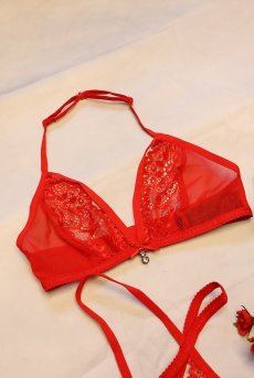 画像24: 838 SET 3  red | ホルターネックのシースルーブラ＆Tバックセット・ノンワイヤー・レッド   | 高級Sexyランジェリー Obsessive【即日発送・サイズ交換NG・メール便対象】輸入下着・ランジェリー   (24)