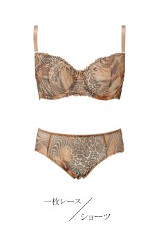 画像1: LATTE soft set B｜ブラ＆ショーツセット｜一枚レース・パッドなし・ノーマルショーツ｜Sawren サブレン【即日発送・ショーツのサイズ交換NG】輸入下着・高級ランジェリー (在庫限り) (1)