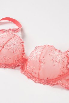 画像10: サイズ限定【50%OFF】LOVELY soft  | 一枚レースブラジャー | Sawren サブレン【即日発送・サイズ交換NG】輸入下着・高級ランジェリー（再入荷なし）  (10)