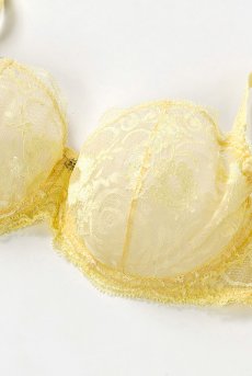 画像12: JOY soft  | 一枚レースブラジャー・ノンパテッドブラ・花柄レース | Sawren サブレン【即日発送】輸入下着・高級ランジェリー（再入荷なし）  (12)