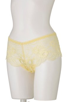 画像9: 在庫限り｜JOY hipsters  | ヒップスターショーツ | Sawren サブレン【即日発送・サイズ交換NG・メール便対象】輸入下着・高級ランジェリー（再入荷なし）  (9)