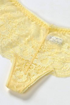 画像13: 在庫限り｜JOY hipsters  | ヒップスターショーツ | Sawren サブレン【即日発送・サイズ交換NG・メール便対象】輸入下着・高級ランジェリー（再入荷なし）  (13)