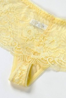 画像15: 在庫限り｜JOY hipsters  | ヒップスターショーツ | Sawren サブレン【即日発送・サイズ交換NG・メール便対象】輸入下着・高級ランジェリー（再入荷なし）  (15)