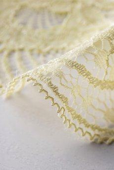 画像17: JOY soft  | 一枚レースブラジャー・ノンパテッドブラ・花柄レース | Sawren サブレン【即日発送】輸入下着・高級ランジェリー（再入荷なし）  (17)