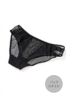 画像12: EBONY brief  | ノーマルショーツ | Sawren サブレン【即日発送・サイズ交換NG】※メール便対象※輸入下着・高級ランジェリー  (12)